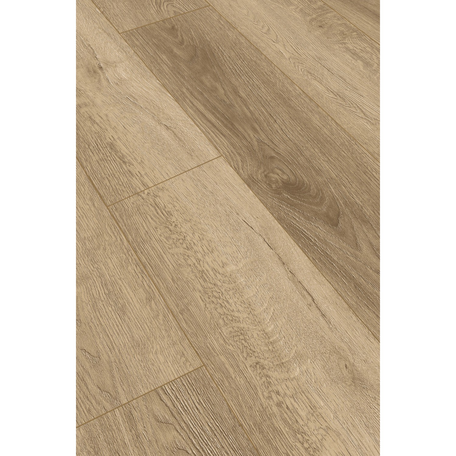Klebe-Vinylboden World of Dryback San Francisco Oak Breitdiele City günstig online kaufen