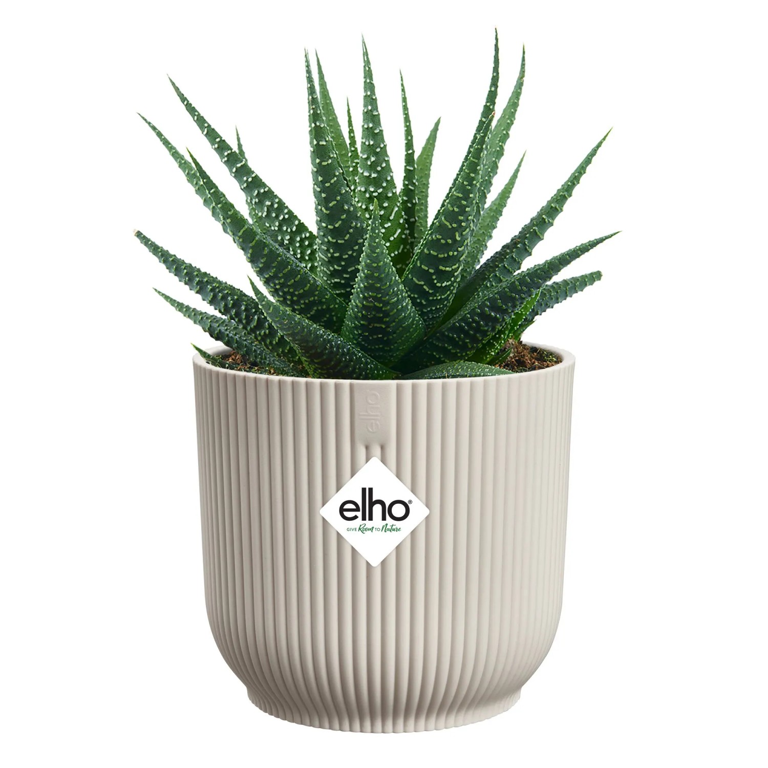 Elho Mini-Blumentopf Vibes Fold, rund, Ø 7 cm, leinenweiß, mit Pflanze.