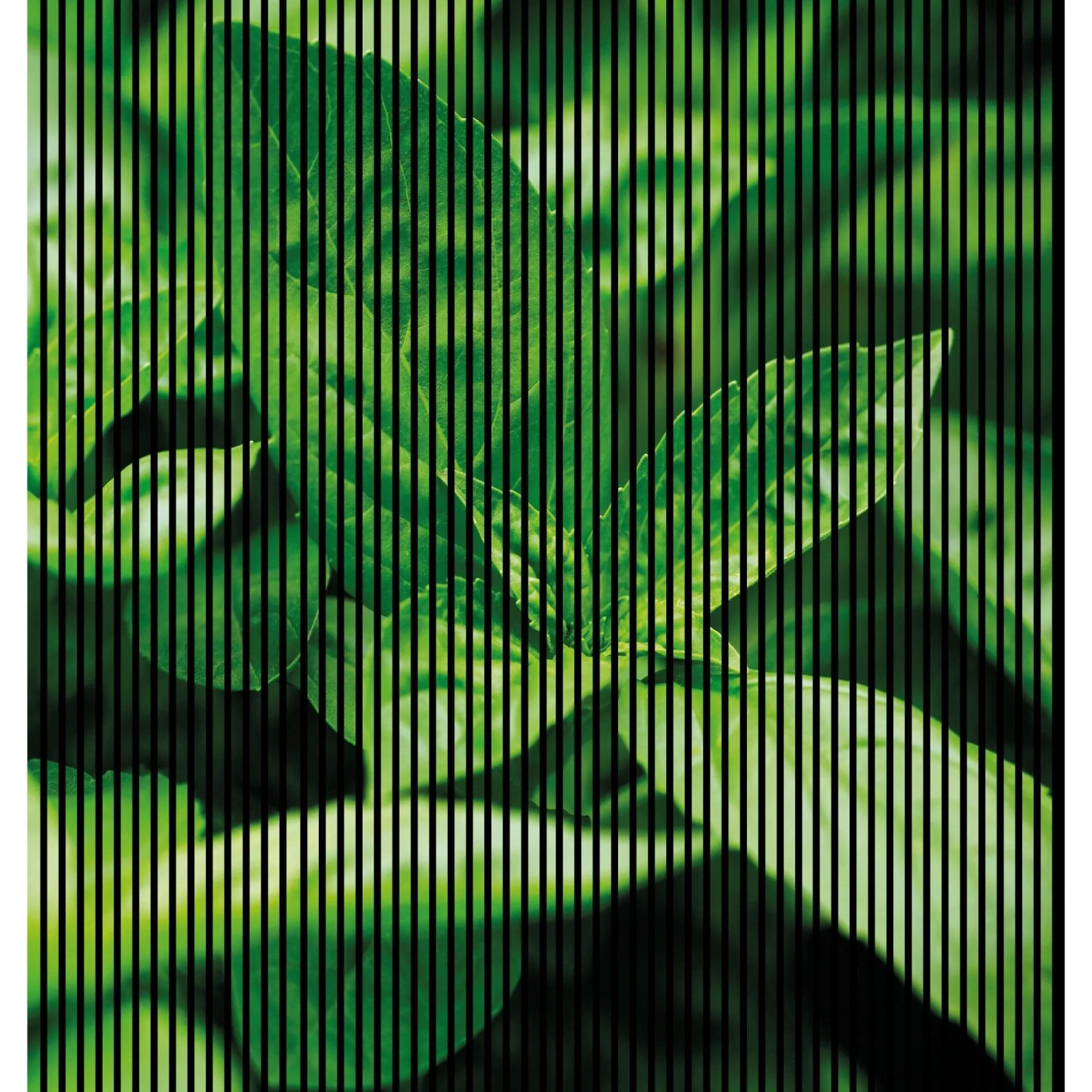 FN Acustico Akustikplatte Basilikum 1 PET u. MDF Foliert 2.253 x 19 x 2.400 mm