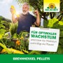 Mann freut sich über Zucchini, Neudorff Brennnessel Pellets für optimales Wachstum.