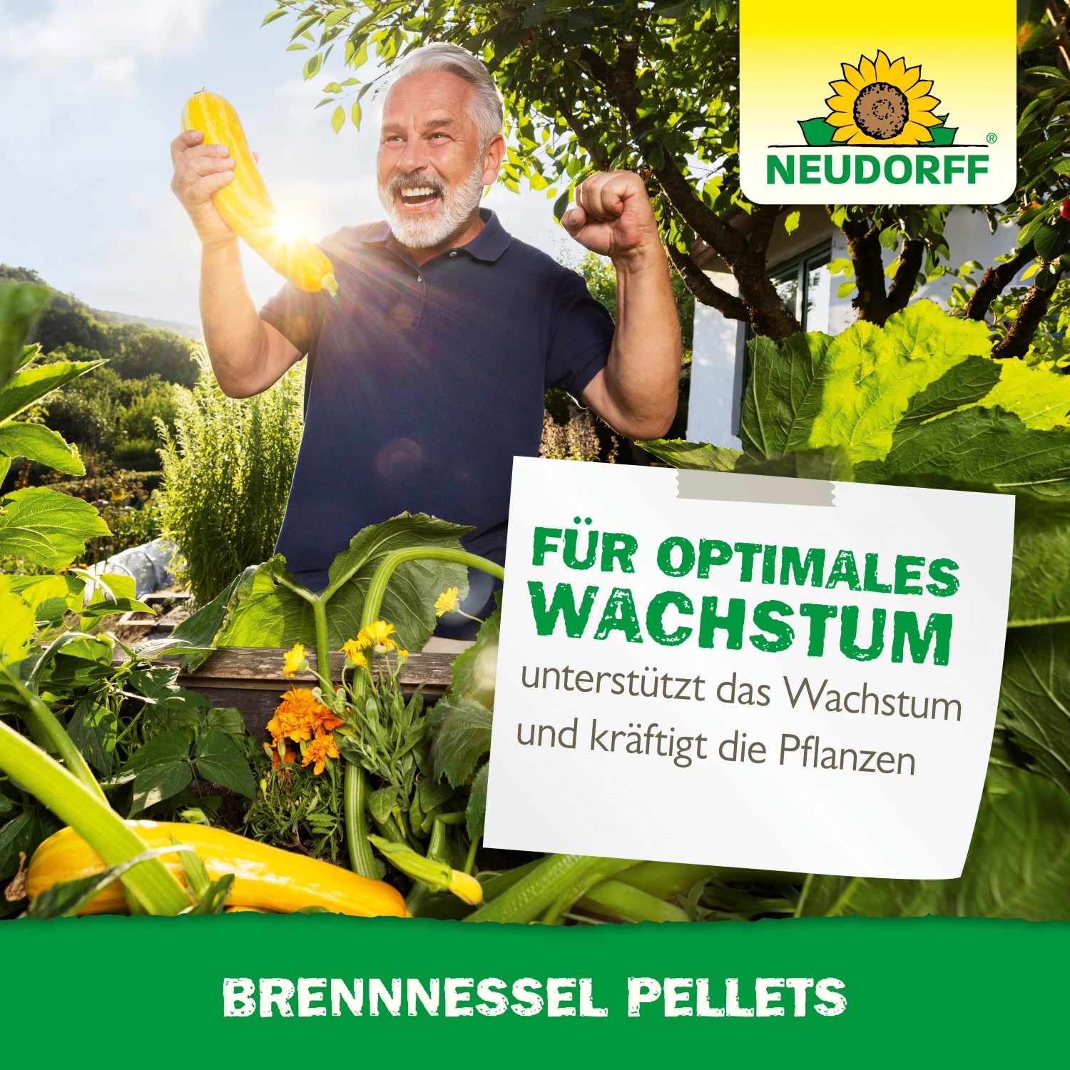 Mann freut sich über Zucchini, Neudorff Brennnessel Pellets für optimales Wachstum.