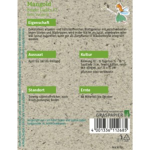 Saatgutpackung Grüne Fee Mangold Bright Lights F1, Gemüsesamen für ca. 40 Pflanzen.