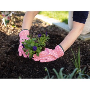 Hände mit pink-weißen Gartenhandschuhen pflanzen Blume in Erde. Gartenbekleidung.