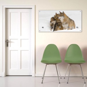 Banjado Glasgarderobe 80 x 40cm Modernes Design Mit 5 Haken Magnetisch Und Beschreibbar Motiv Wölfe