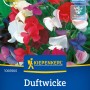 Kiepenkerl Duftwicke Royal Mischung: Farbenfrohe Blüten in Rot, Weiß, Lila und Blau. Blumensamen für Beet und Balkon.