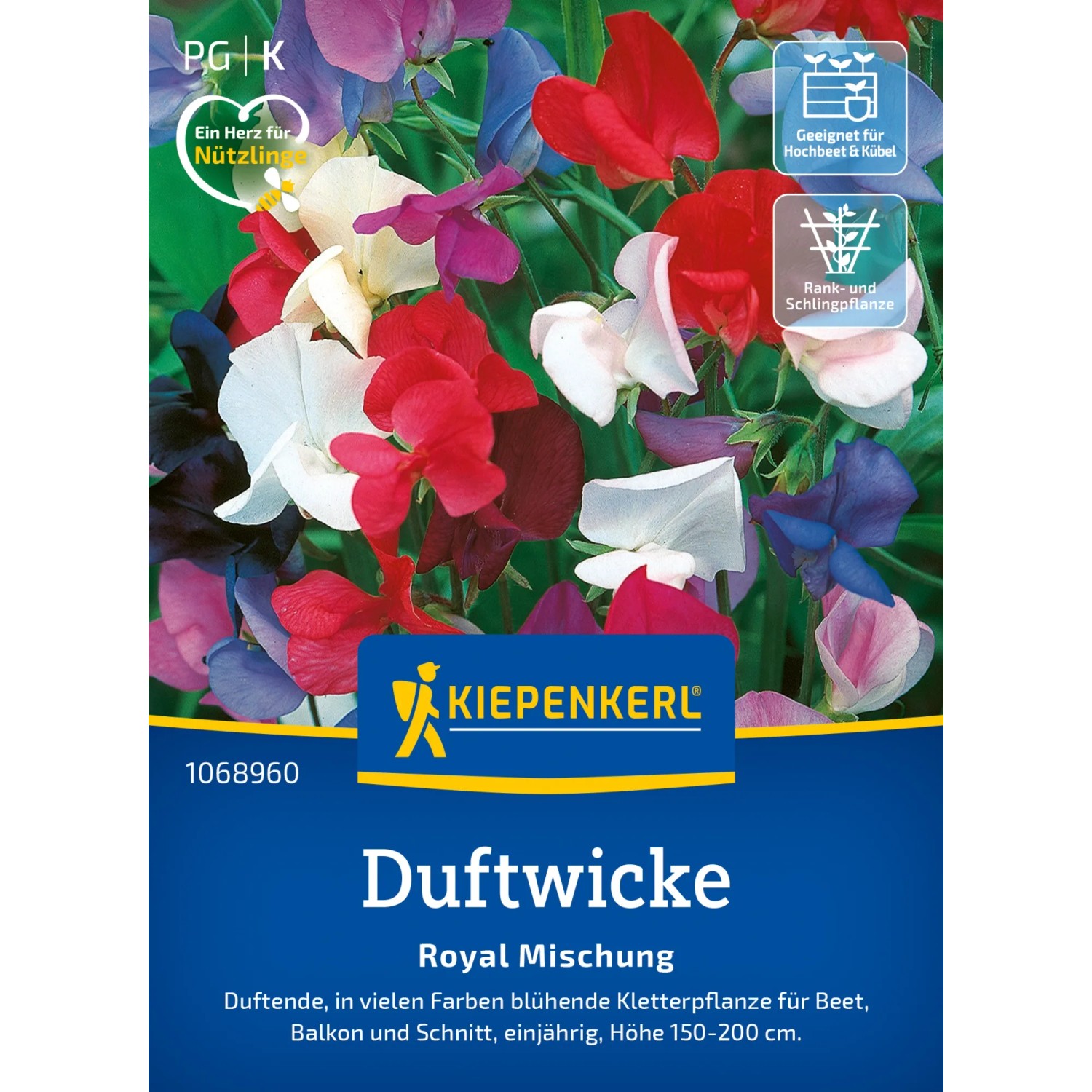 Kiepenkerl Duftwicke Royal Mischung: Farbenfrohe Blüten in Rot, Weiß, Lila und Blau. Blumensamen für Beet und Balkon.