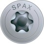 Detailaufnahme Spax Universalschraube mit T-Star plus Antrieb und Tellerkopf.