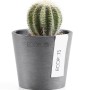 Ecopots Amsterdam Mini Pflanztopf, grau, 8 cm, mit Kaktus. Ideal für Innen- und Außenbereich.