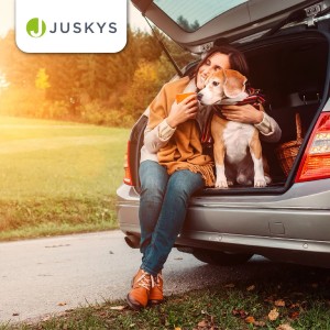 Frau mit Hund in Juskys Faltbarer Hundetransportbox Lassie M Dunkelgrau im Kofferraum.