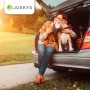 Frau mit Hund in Juskys Faltbarer Hundetransportbox Lassie M Dunkelgrau im Kofferraum.