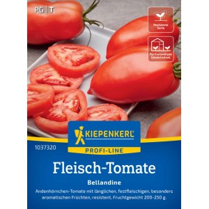 Kiepenkerl Saatgut Fleisch-Tomate Bellandine F1