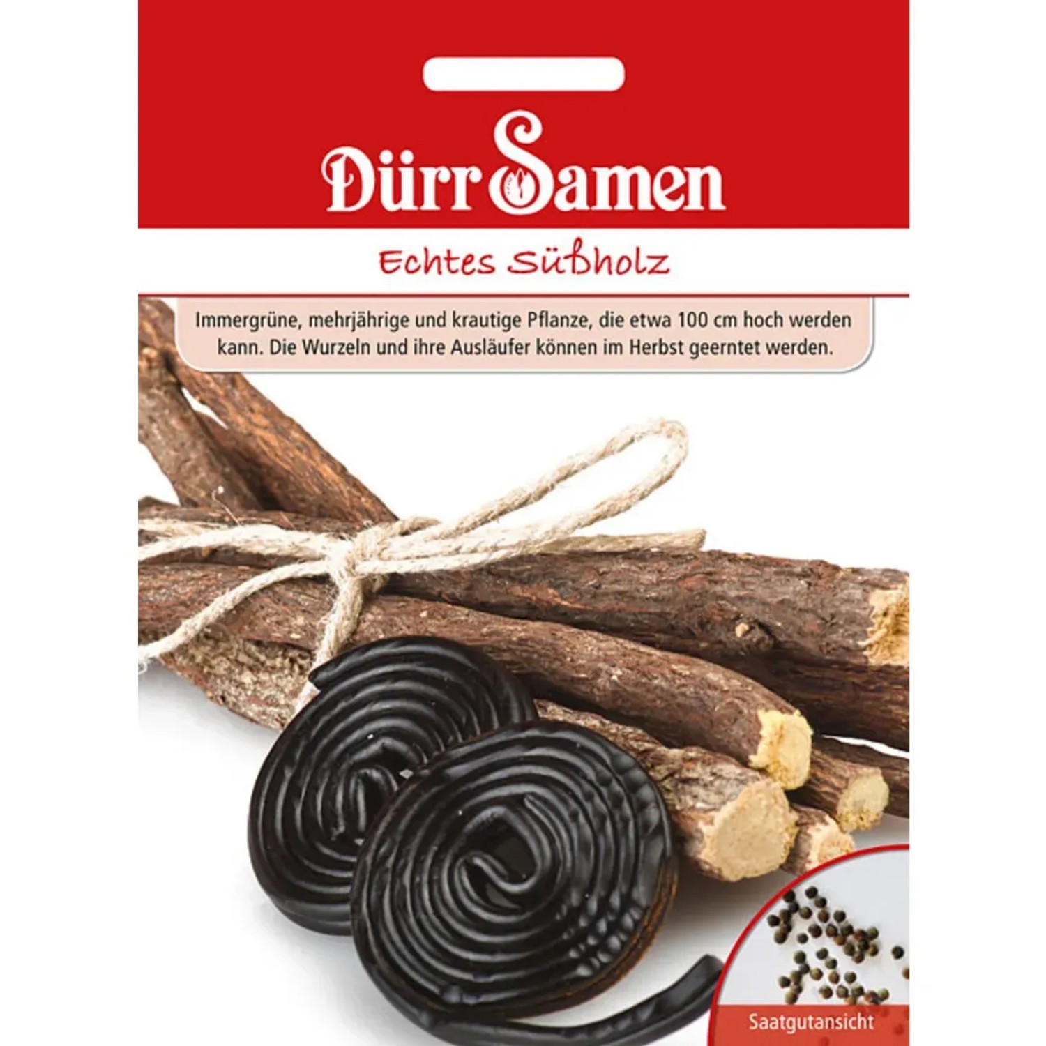 Dürr Samen Echtes Süßholz Saatgut