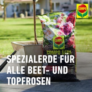 Sack Compo Sana Rosenerde 20L: Spezialerde für Rosen in Beet und Topf, mit Nährstoffen für intensive Blüten.