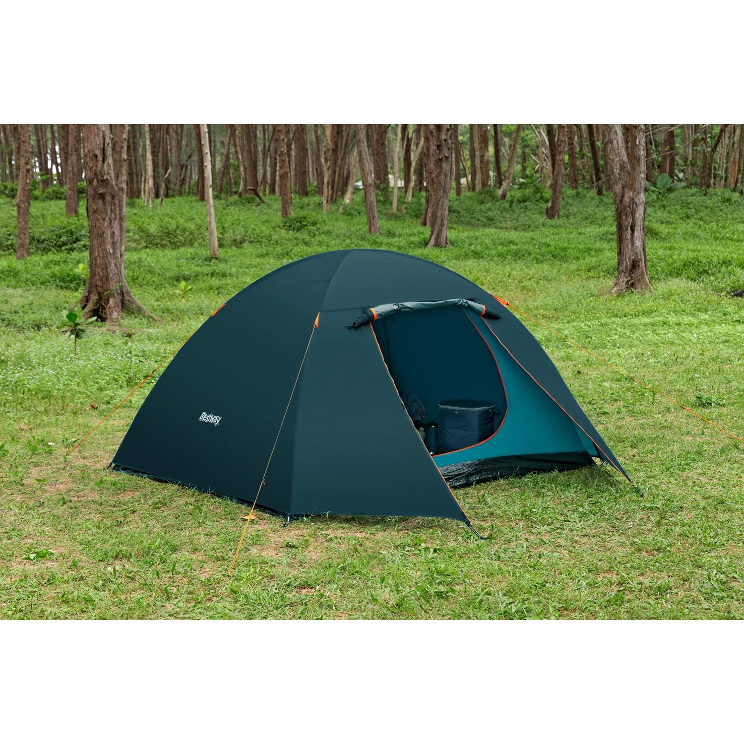 Bestway Alpine Dome Zelt für 4 Personen, dunkelblau, auf einer Wiese im Wald.