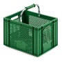 Grüne PROREGAL Eurobox mit Tragebügel, ideal für Obst und Gemüse. Praktische Aufbewahrungsbox / Transportbox.