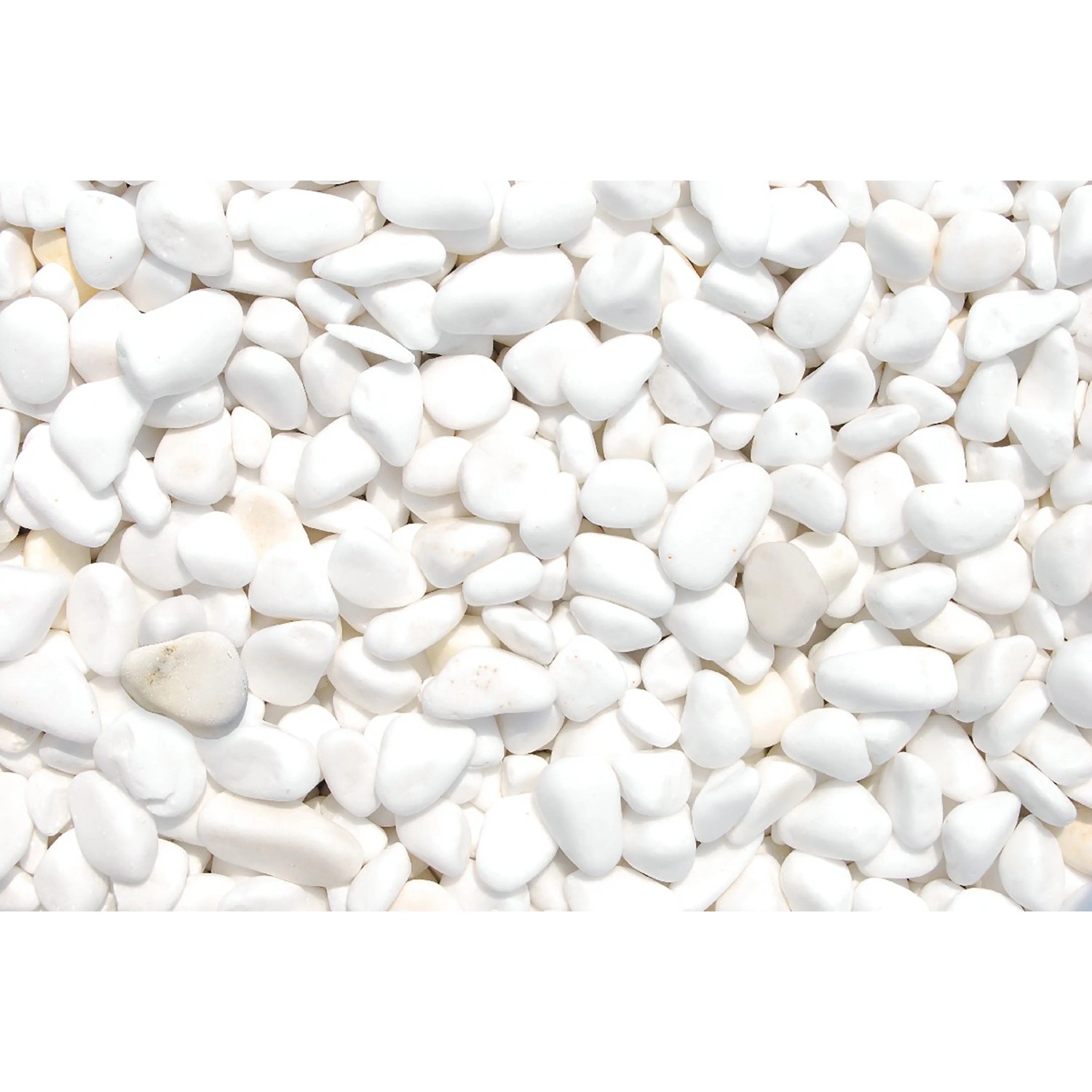 Weiße Marmor Zierkiesel (15-25mm) im PE-Sack. Ideal für Garten- und Landschaftsbau.