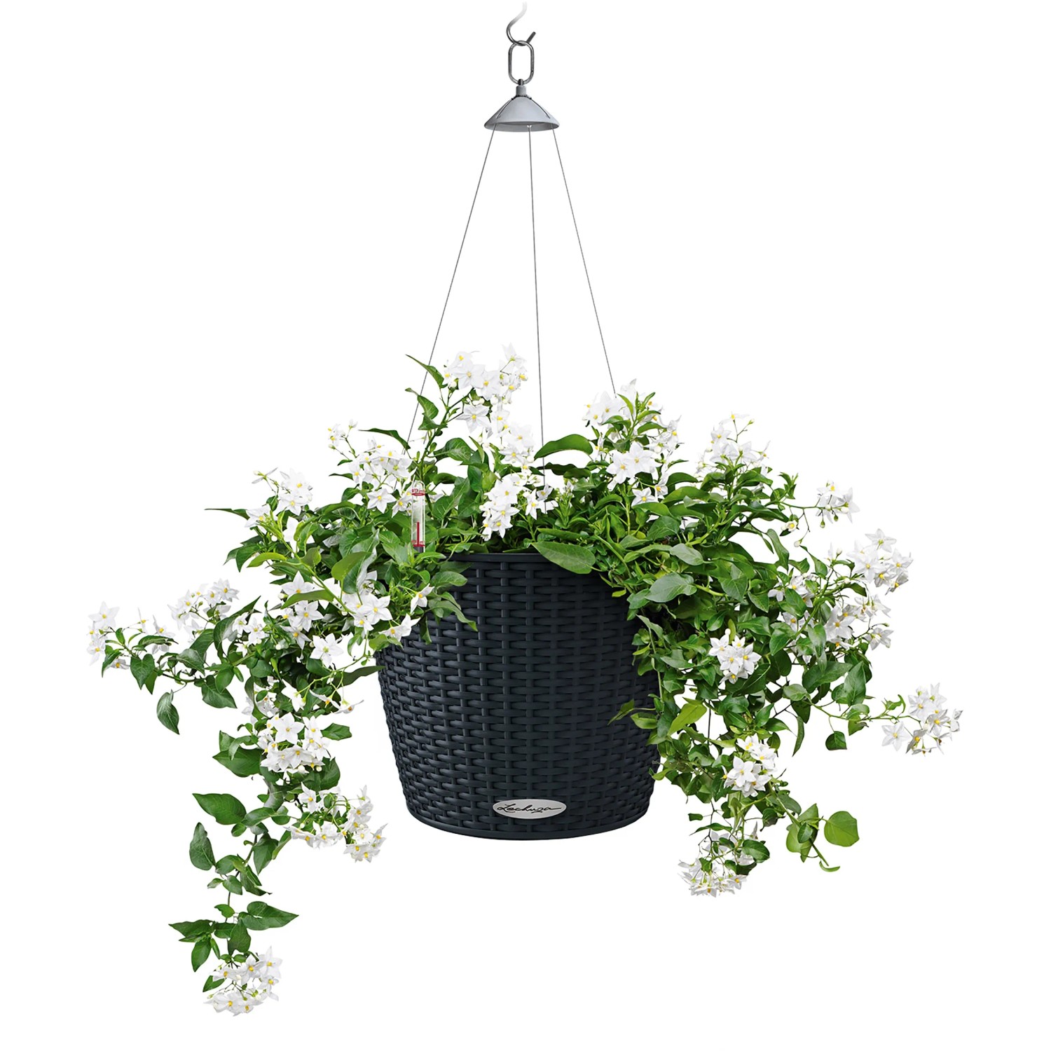 Graphitschwarze Lechuza Nido Cottage Hängeampel Ø 27 cm mit weißen Blüten.