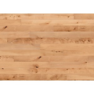 Helle Living by Haro Landhausdiele Parkett Buche Naturöl, strukturiert und mit 4V Fuge.