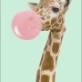 Dekopanel: Giraffe mit Kaugummi-Blase auf hellgrünem Hintergrund, 30x15 cm.