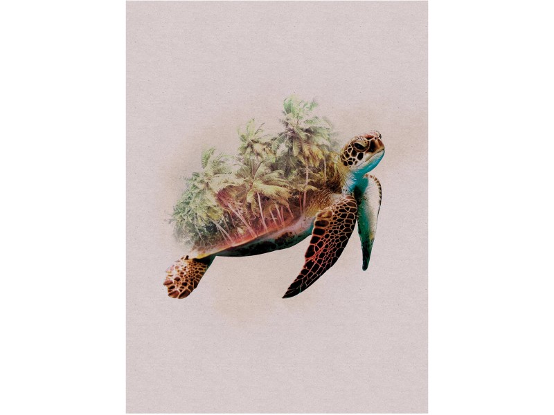 Komar Wandbild Animals Turtle 30 x 40 cm