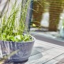 Heissner Solar-Wassergarten Aquatopia mit Bepflanzung als Teichdeko auf Terrasse.