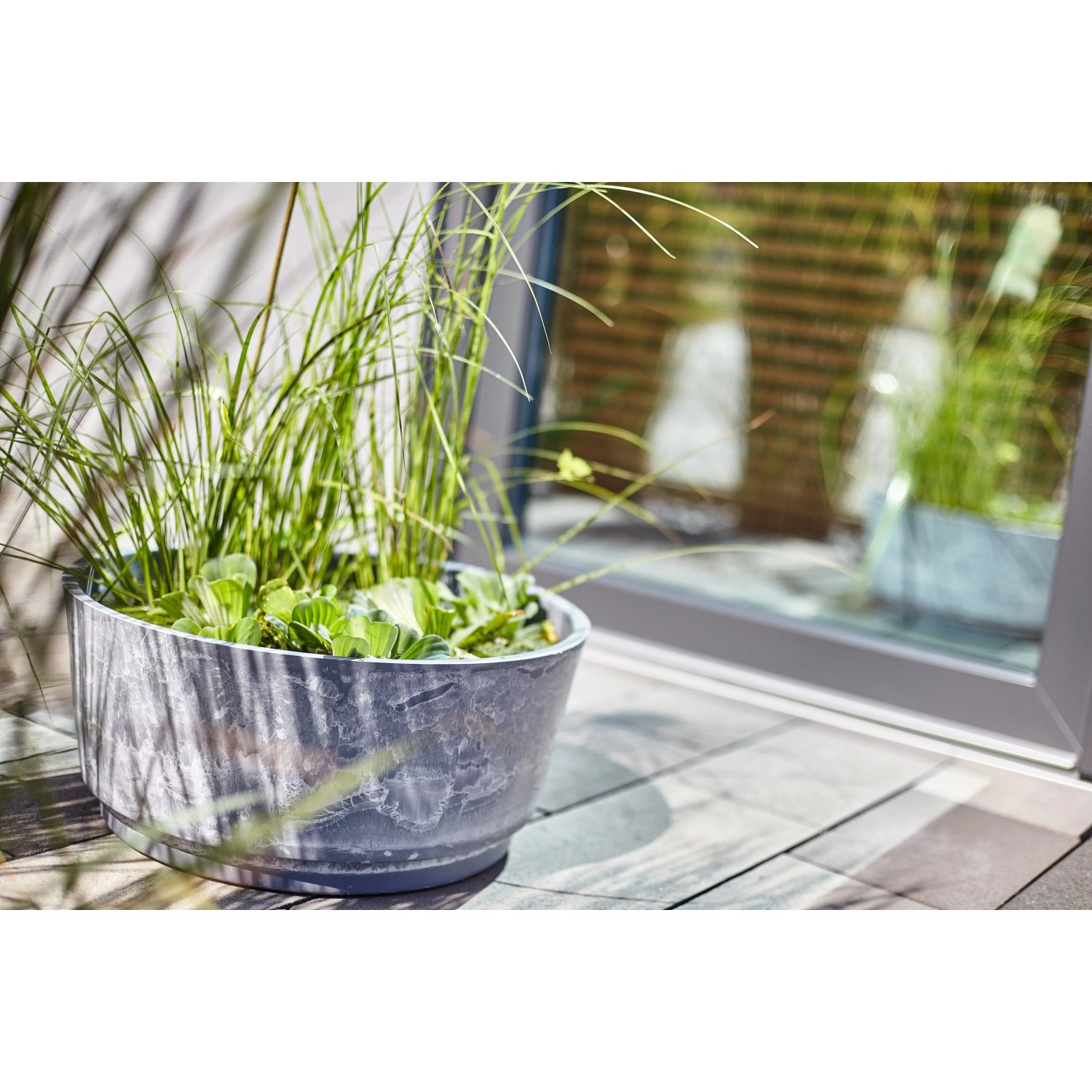 Heissner Solar-Wassergarten Aquatopia mit Bepflanzung als Teichdeko auf Terrasse.