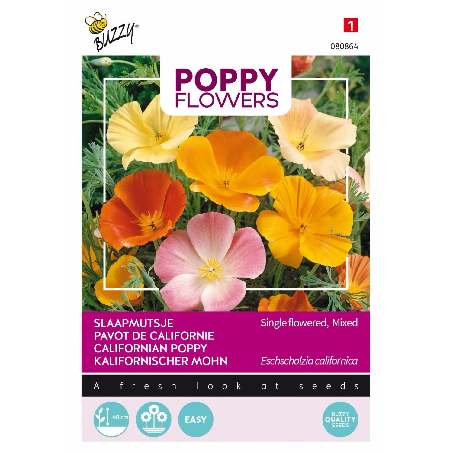 Kalifornischer Mohn Buzzy Poppy Flowers Samen Ca. 1 g Reichblühend