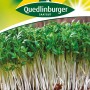 Samenpackung Quedlinburger Gartenkresse 'glattblättrige' mit frischer Kresse.