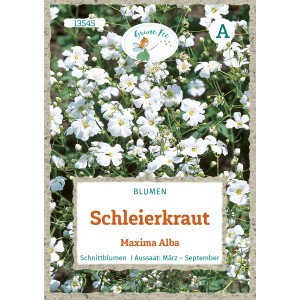 Saatgutpackung Grüne Fee Schleierkraut Maxima Alba mit filigranen, weißen Blüten.