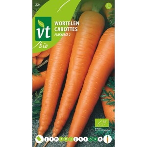 Karotte 'Flakkee 2' Bio Saatgut ca. 3 g Ertragreich