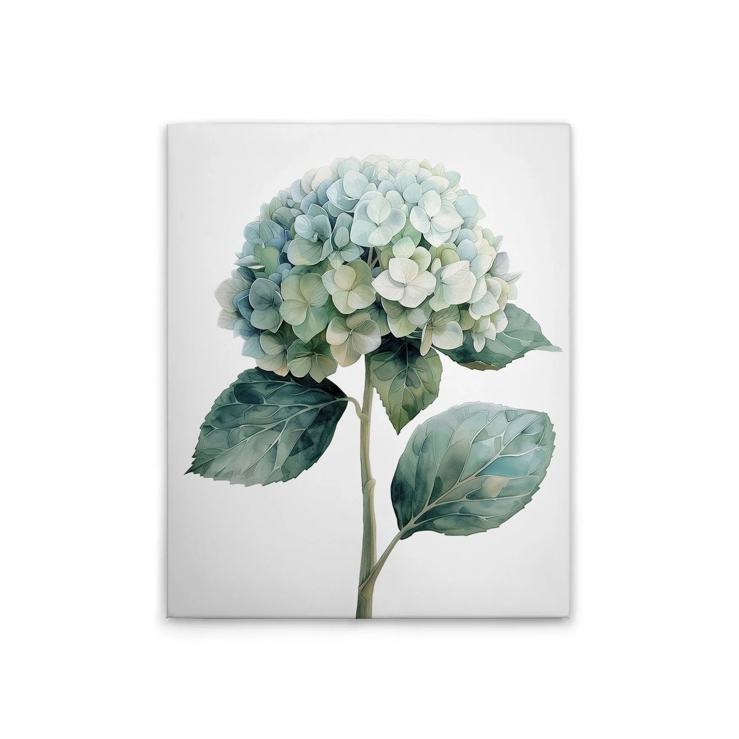 Tadessi Leinwandbild - M1-No.51823 - Hortensie Blau - 40 x 50 cm - Querformat