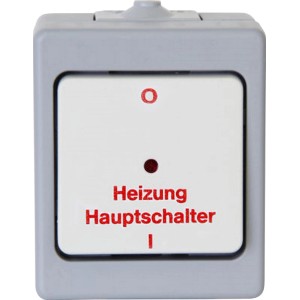 Kopp Heizungs-Hauptschalter, Aufputz/Feuchtraum, grau, mit Glimmlampe.