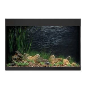 Oase Aquarium StyleLine 175 in Schwarz, bepflanzt und dekoriert mit Steinen. Elegante Aquarien-Kombination.