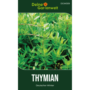 Samenpackung 'Deine Gartenwelt' für Thymian Deutscher Winter. Zeigt frische, grüne Thymianpflanzen. Küchenkräuter Samen.