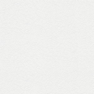 Weiße, überstreichbare Vliestapete in Putzoptik von Bricoflor für Flur und Wohnraum.