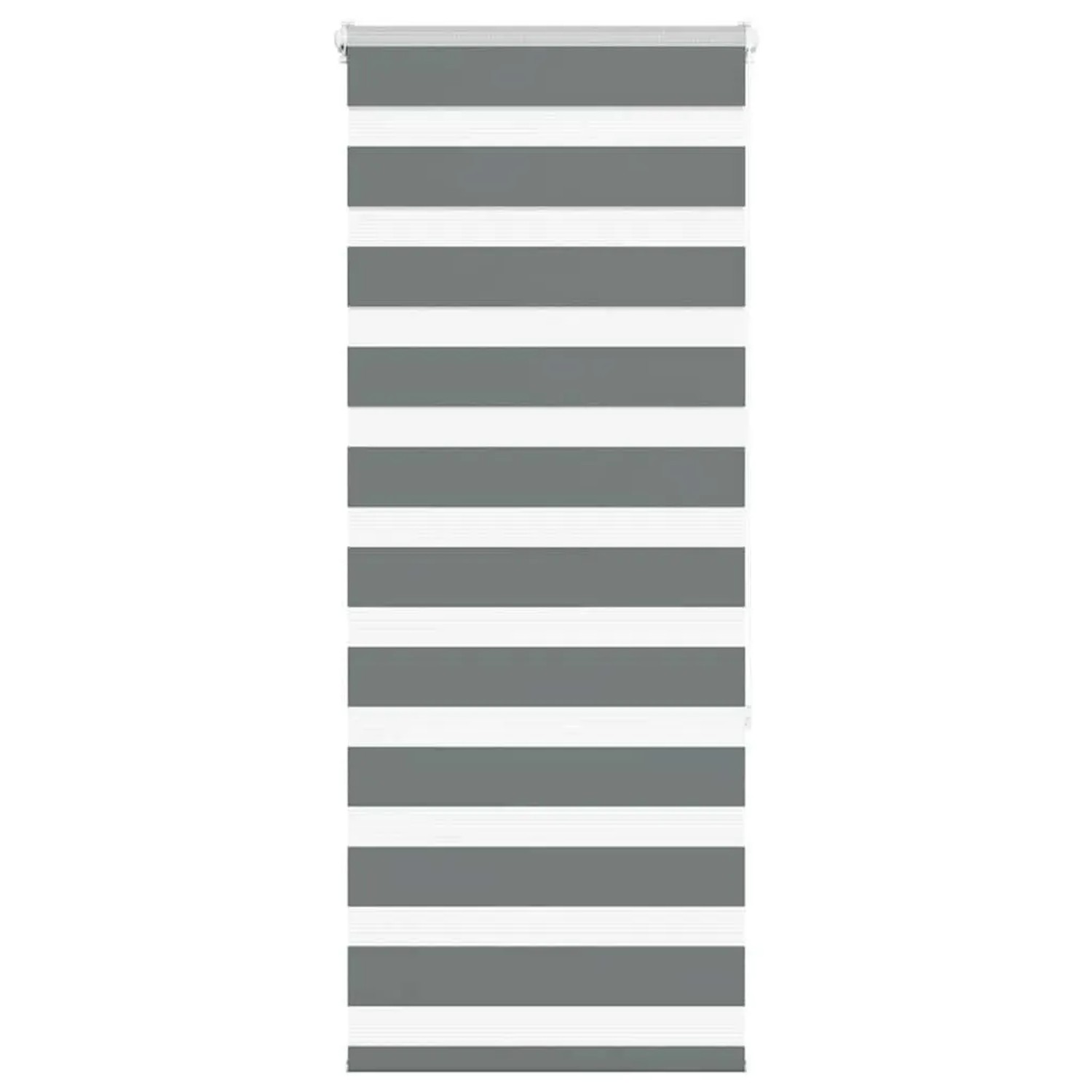 vidaXL Doppelrollo Dunkelgrau 60x150 cm Stoffbreite 55,9 cm Polyester 4014123