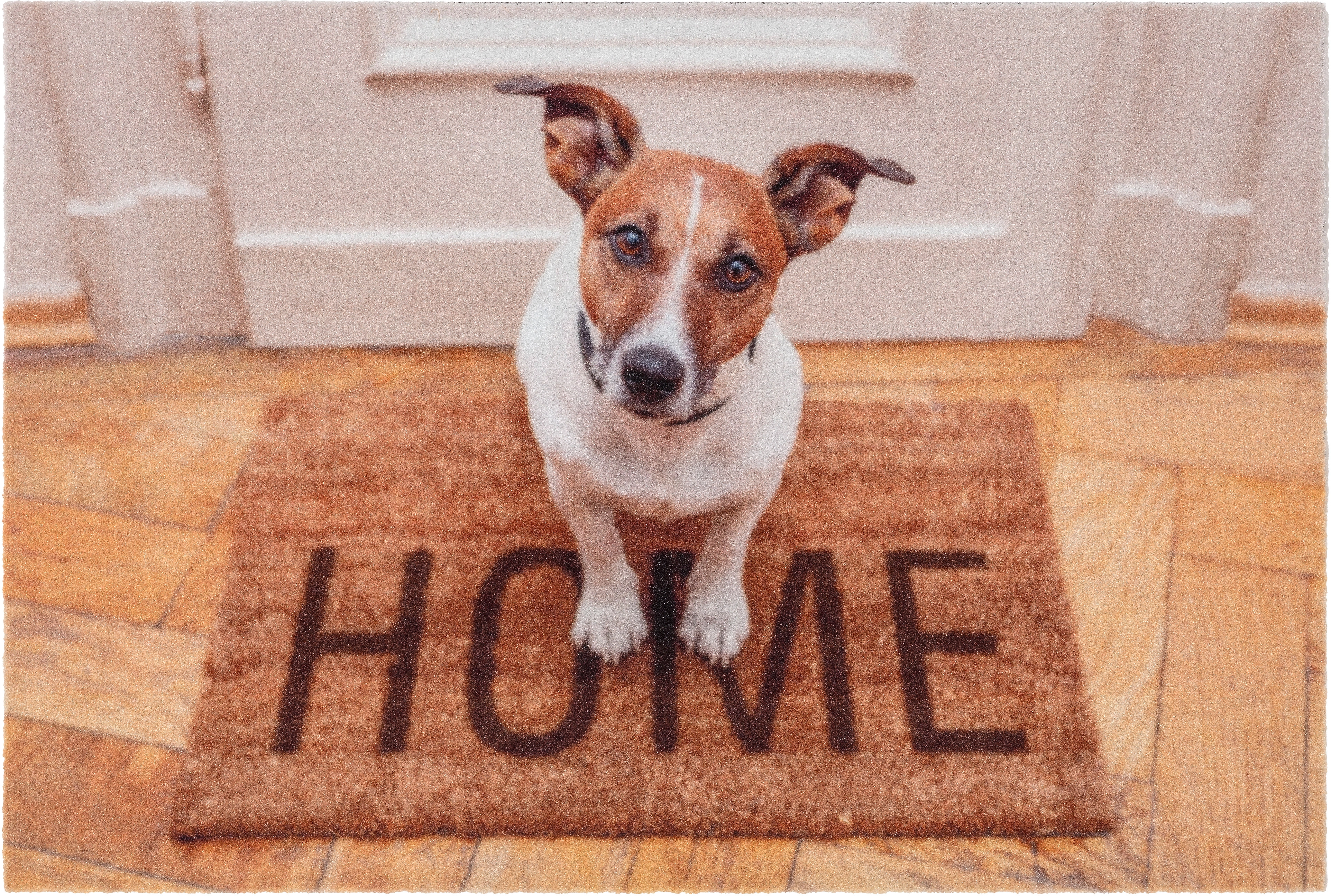 Astra Sauberlaufmatte Deco Print 40 x 60 cm Hund Home kaufen bei OBI