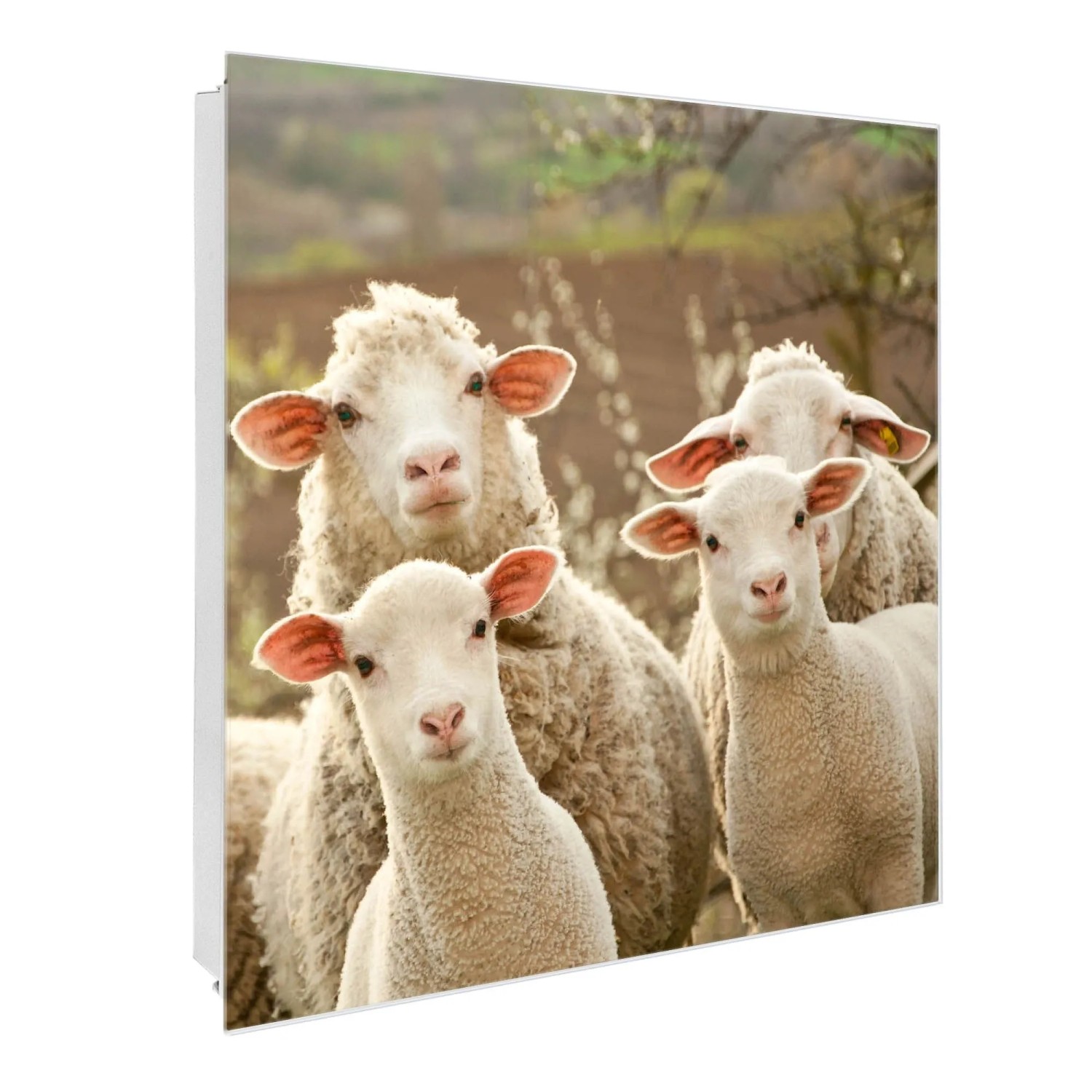 Banjado Großer Schlüsselkasten Glas 30x30cm Weiß Scharnier Rechts 50 Haken günstig online kaufen