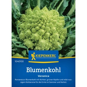 Kiepenkerl Blumenkohl Veronica F1: Romanesco-Blumenkohl mit grünen, spiralförmigen Röschen.