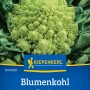 Kiepenkerl Blumenkohl Veronica F1: Romanesco-Blumenkohl mit grünen, spiralförmigen Röschen.