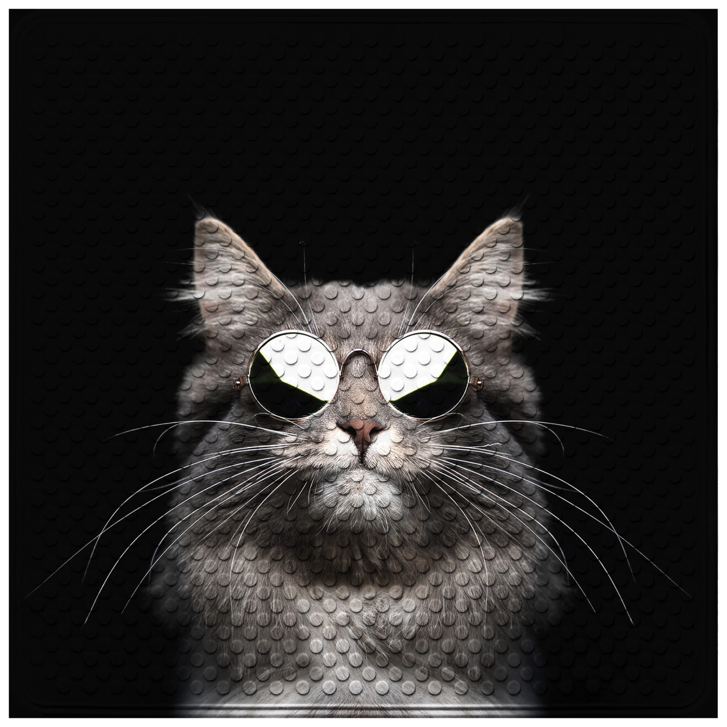 SANILO Badematte Cool Cat günstig online kaufen