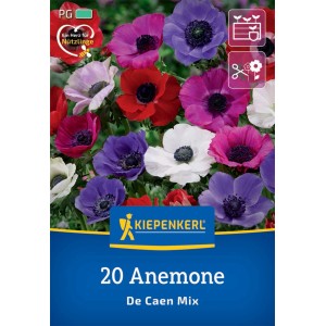 Kiepenkerl Kronen-Anemonen De Caen Mischung, 20 Blumenzwiebeln in verschiedenen Farben.
