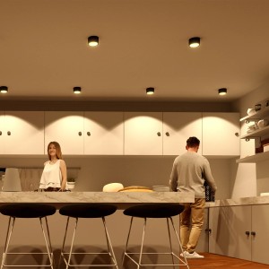 Schwarze LED Deckenleuchten Celi-X von SSC-LUXon in Küche mit Personen.