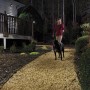 Mr. Beams LED-Außenstrahler im 2er-Pack beleuchten Weg mit Frau und Hund.