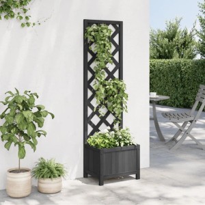 Schwarzer vidaXL Pflanzkübel mit Rankgitter aus Tannenholz für Kletterpflanzen im Garten.