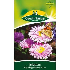 Quedlinburger Juliaster Mischung mit rosa und lila Blüten, eine mit Schmetterling.