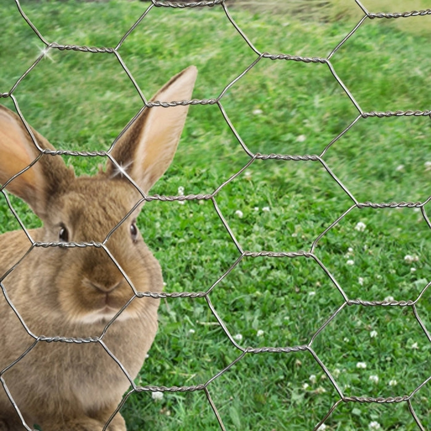 Karat Drahtzaun für Garten und Kleintiere 1 x 10 m Sechseckgeflecht