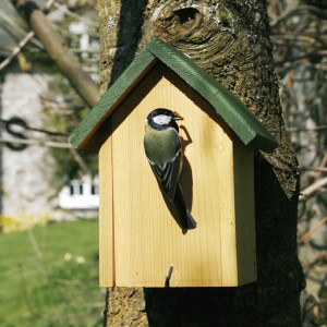 CJ Nistkasten Oklahoma am Baum mit Vogel. Holz-Nistkasten mit grünem Dach für Gartenvögel.