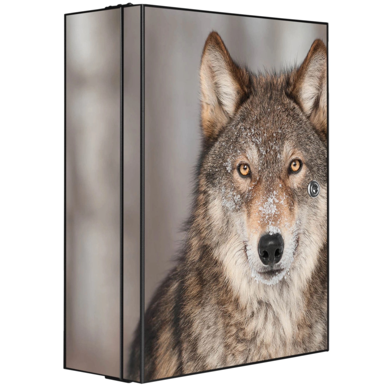 Banjado XXL Medizinschrank Abschliessbar 35x46x15cm Arzneischrank Anthrazit günstig online kaufen