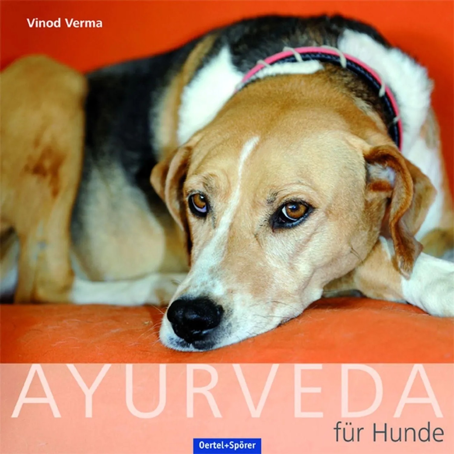 Image of Ayurveda für Hunde